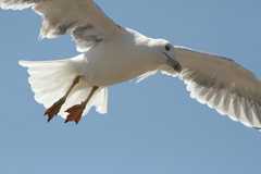 IMG_1176a
